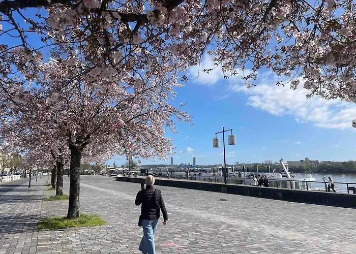 Jennys-getaways Sunny Close Cite Du Vin Διαμέρισμα Μπορντό